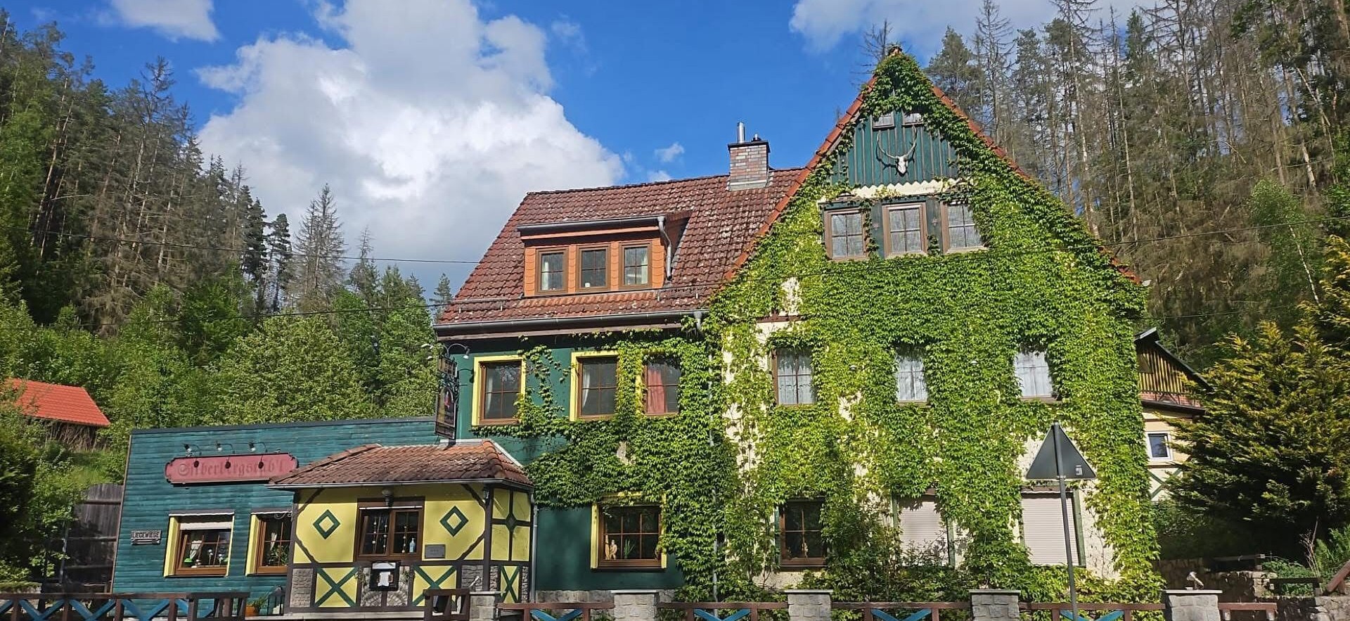 Villa Zum Kuckuck mit Efeu an der Giebelseite, gelbem Eingang und Wald dahinter.